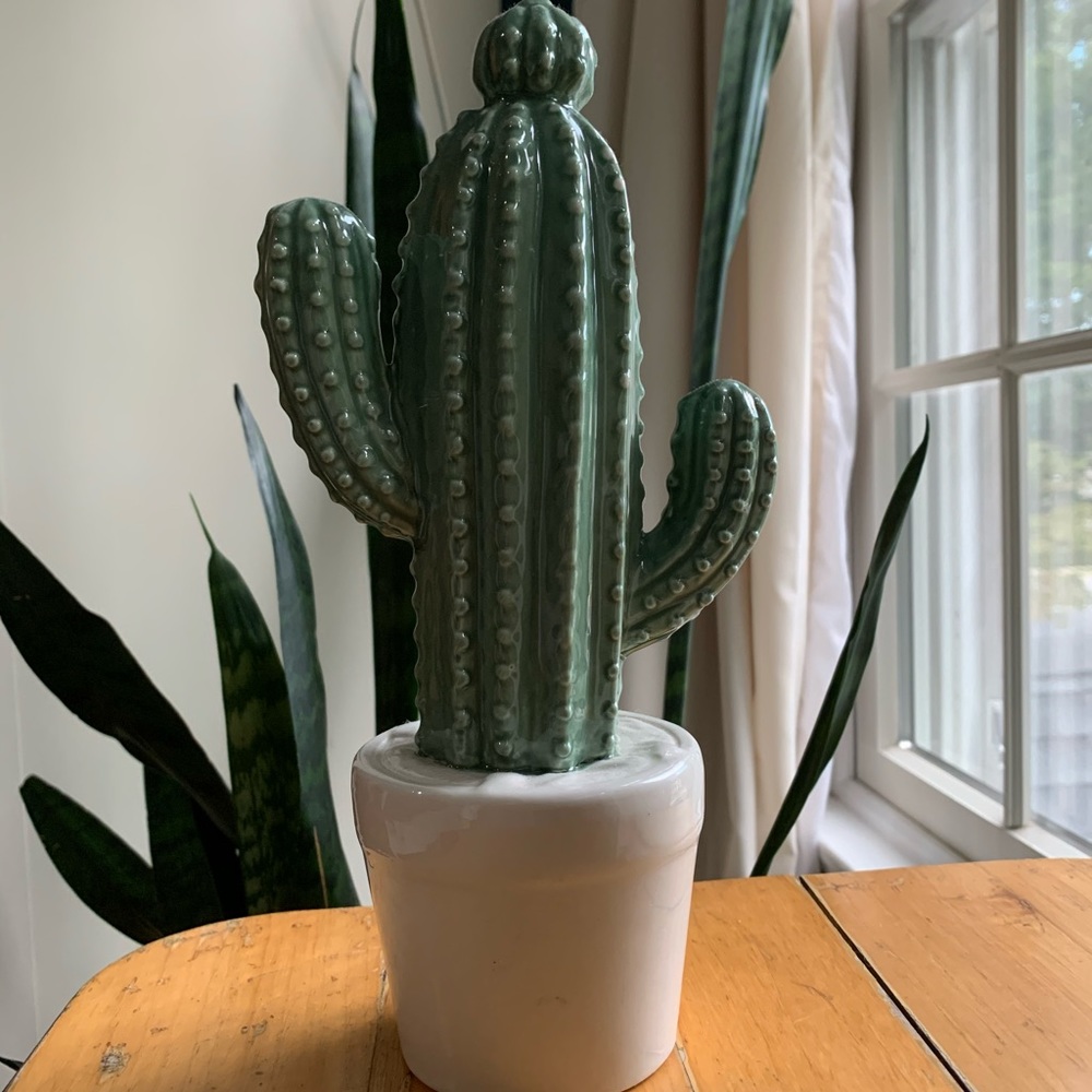 Ceramic cactus